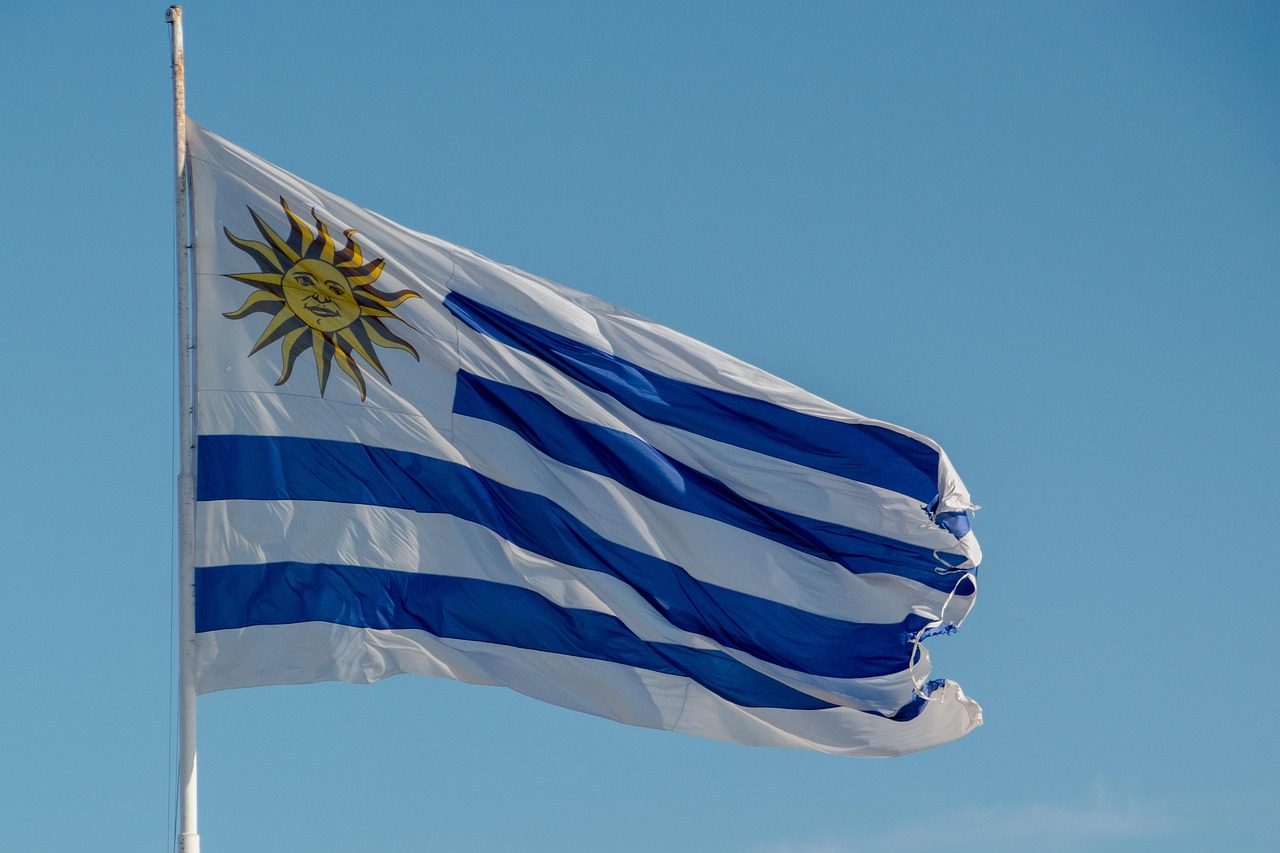 flag, uruguay, nature, sun, wind